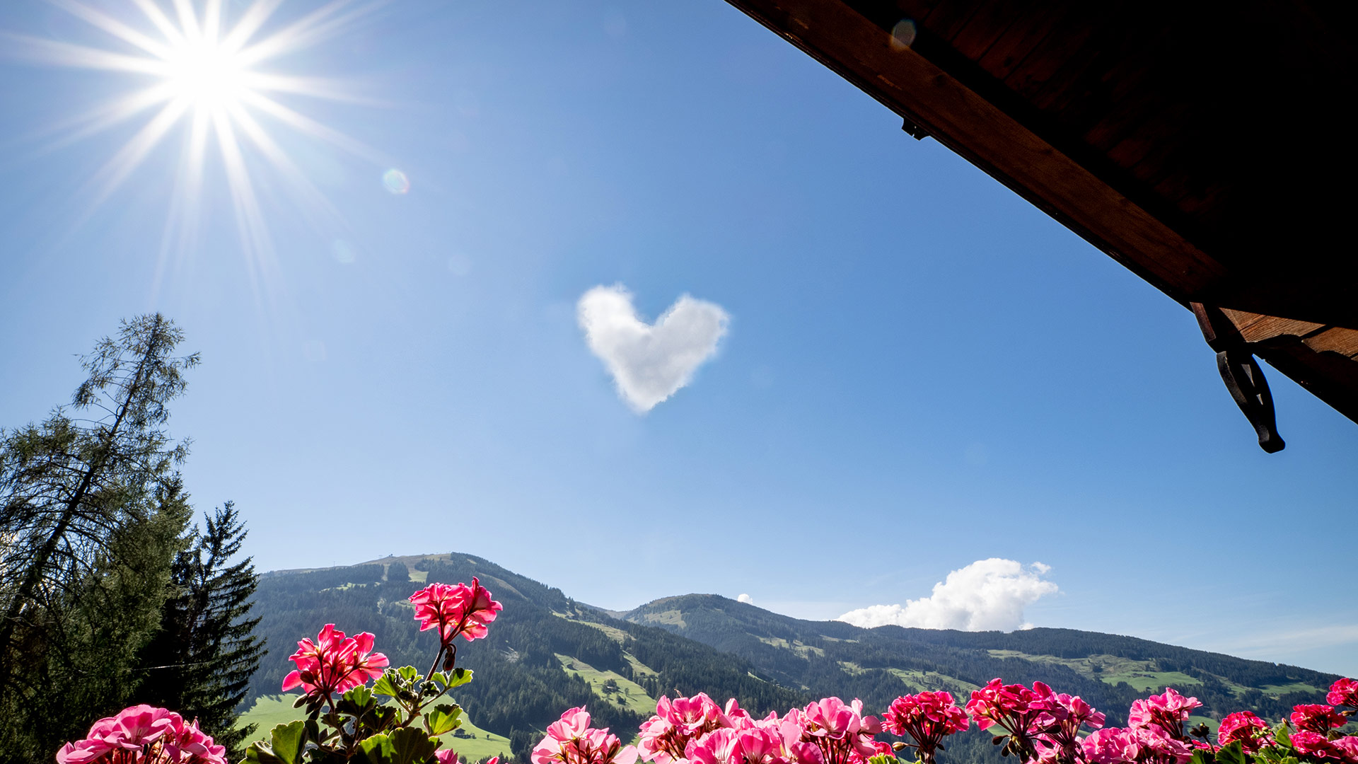 01_landhaus-alpbach_header_extras